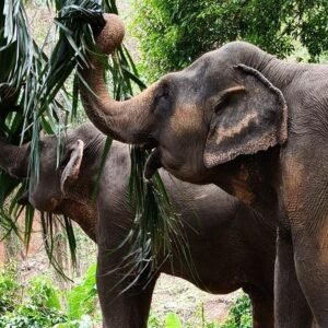 Asia and Middle East Itineraries